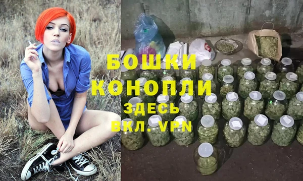 стаф Магас