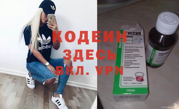 стаф Магас