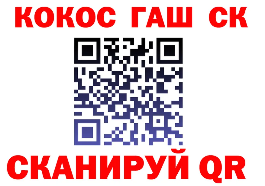 ГАШ Изолятор зеркало мориарти МЕГА Североморск