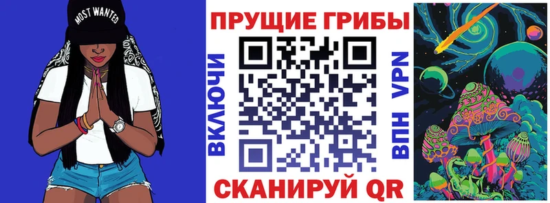 Купить  Североморск  Псилоцибиновые грибы мухоморы 